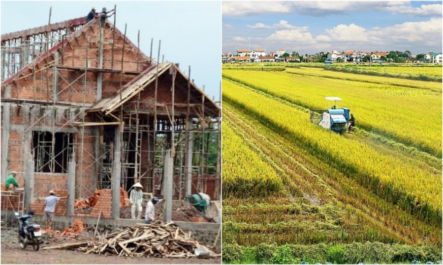 Trường hợp nào xây nhà trên đất nông nghiệp không lo bị xử phạt?