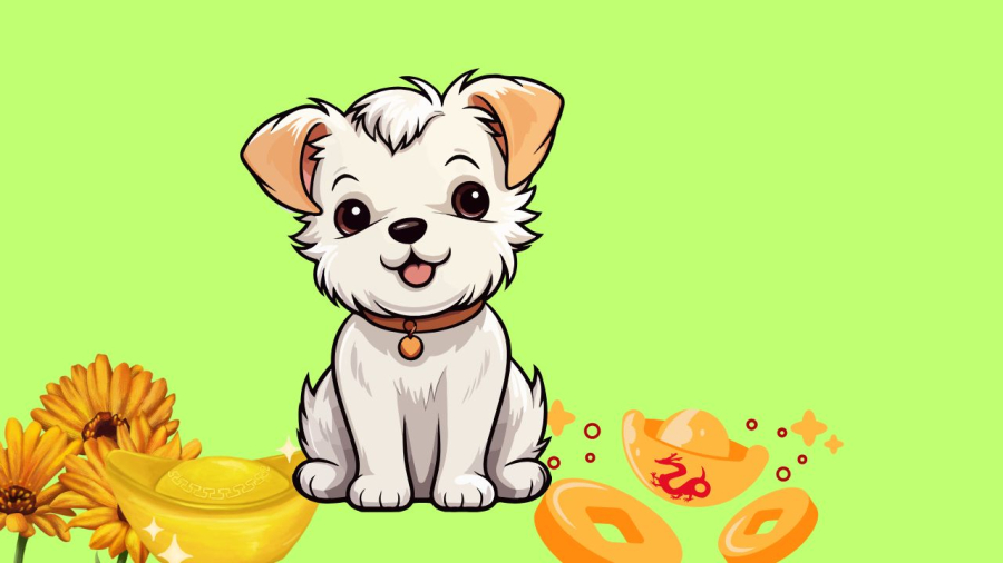 Tuổi Tuất có cơ hội giàu sang trước Tết Hàn thực