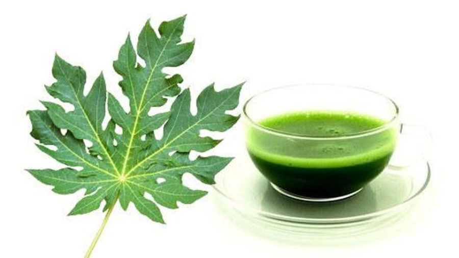 Vitamin A và C trong lá đu đủ không chỉ nuôi dưỡng Mừng SHBET phiên bản mới 2025, giảm mụn trứng cá mà còn làm chậm quá trình lão hóa