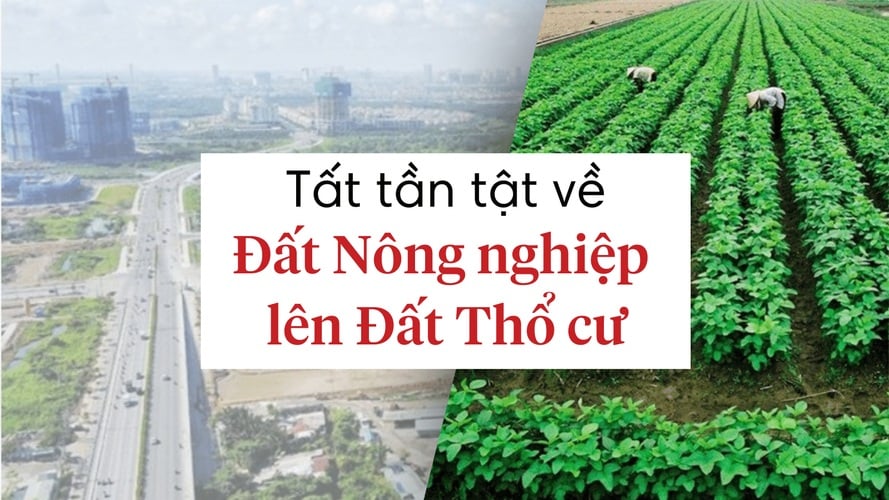 Người dân khi chuyển đất vườn lên đất thổ cư sẽ phải đóng các khoản tiền như: Tiền sử dụng đất, lệ phí trước bạ, lệ phí cấp Link nhập code shbet https freecode shbet pages dev, phí thẩm định hồ sơ.