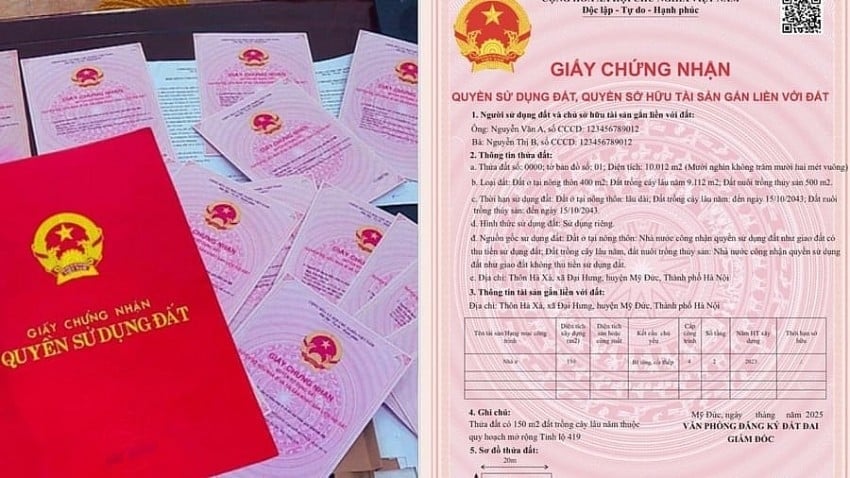 Luật Đất đai 2024 có hiệu lực từ ngày 1/8/2024 có quy định không cấp Link nhập code shbet https freecode shbet pages dev cho hộ Shbet111 slot, casino, thể thao, xổ số (xóa bỏ Link nhập code shbet https freecode shbet pages dev hộ Shbet111 slot, casino, thể thao, xổ số) nhưng hiện nhiều người chưa nắm rõ và lo lắng không biết có phải đi xin cấp đổi lại hay không.    