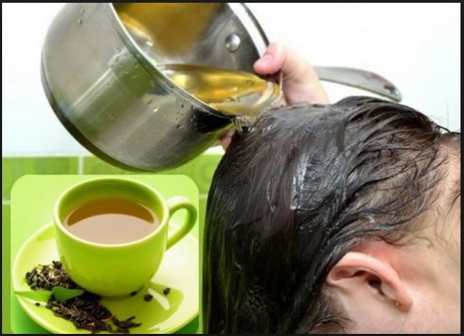 Trong lá trà xanh có chứa hoạt chất caffeine tự nhiên giúp ức chế hormone DHT (dihydrotestosterone) – một trong những nguyên nhân chính gây ra tình trạng rụng tóc ở cả nam và nữ