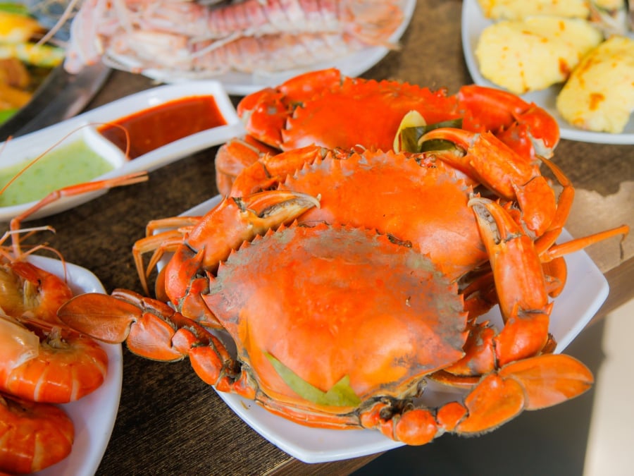 100324-phan-biet-cua-va-ghe-buffet-poseidon-04