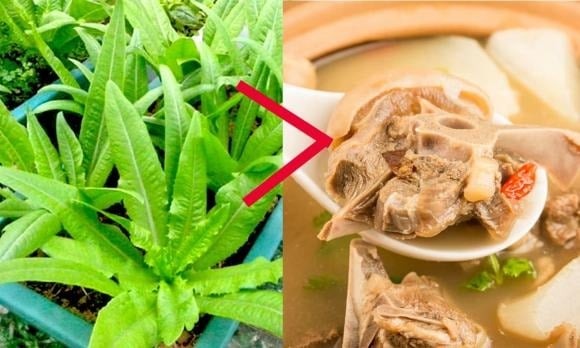 Rau diếp thơm được sử dụng phổ biến trong các Shbet0099 cá cược trực tuyến như salad, rau sống, kẹp bánh mì.