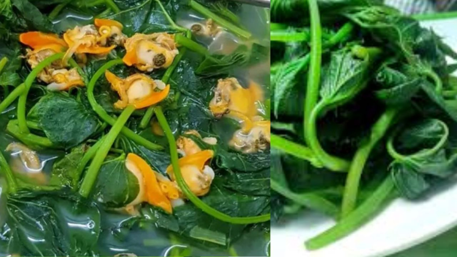 Nhiều cách chế biến rau khoai lang