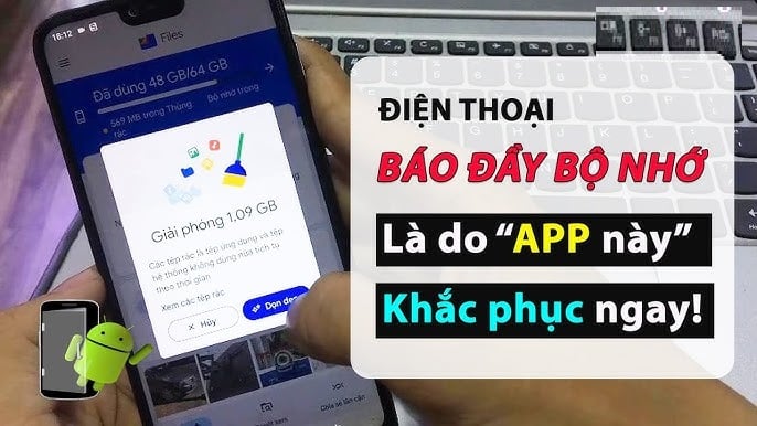 4 thứ 