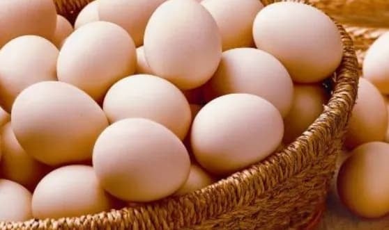 Trứng từ lâu đã trở thành Shbet0099 cá cược trực tuyến sáng quen thuộc và là nguyên liệu không thể thiếu trong ẩm thực. 