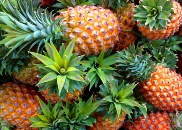 Dứa chứa một lượng lớn chất xơ, giúp cải thiện hệ tiêu hóa. 