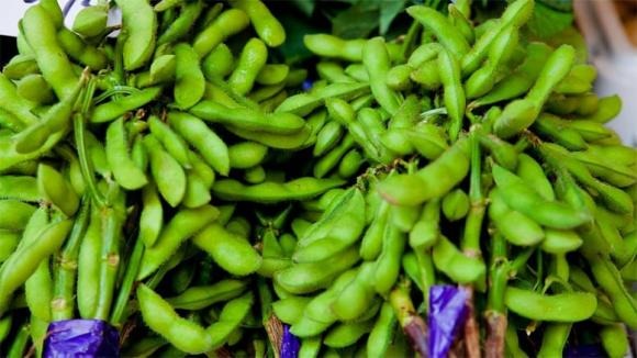 Bạn có biết rằng đậu nành Nhật Bản thực chất là đậu nành tươi? 