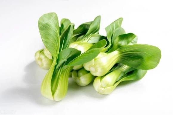 Hạt cải dầu ở đây không phải loại hạt dùng để sản xuất dầu ăn, mà chính là cải chíp (cải thìa) – một loại rau giàu dưỡng chất.