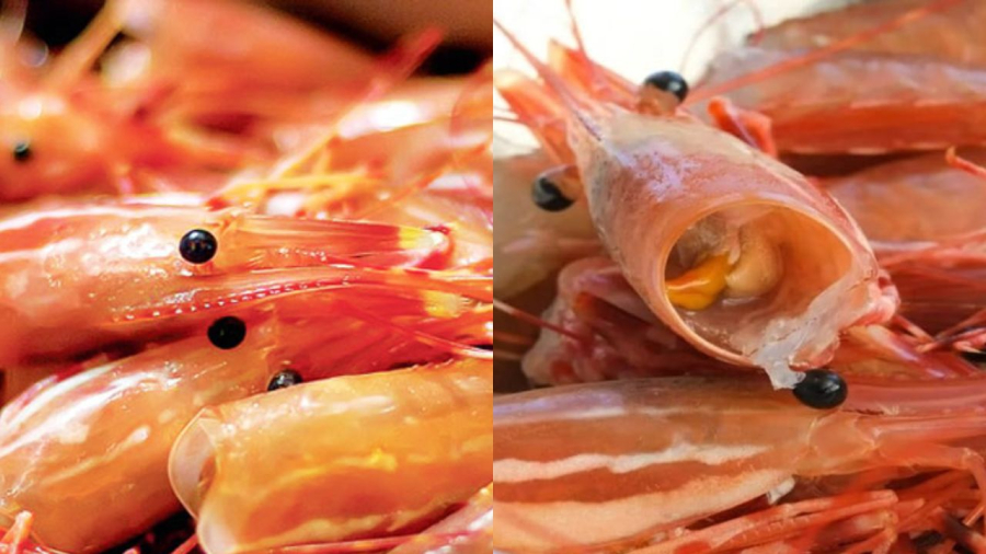 Đầu tôm là bộ phận chứa nhiều chất bẩn nhất