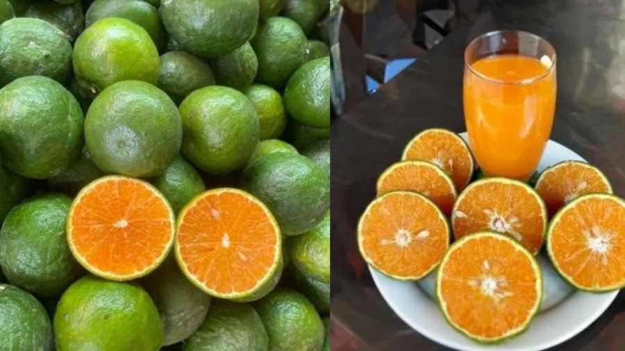 Nước cam giàu canxi
