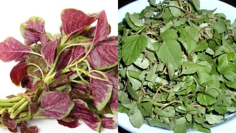 Rau dền rất giàu canxi