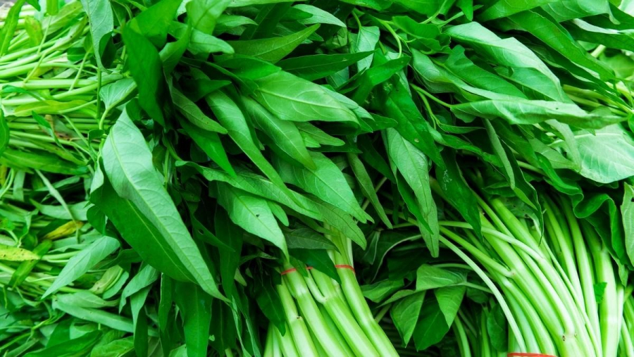Rau muống nước    