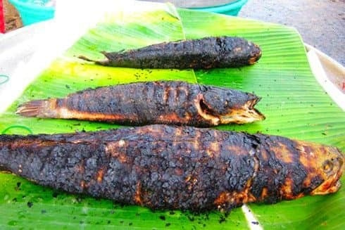 Cá nướng và cá chiên là Shbet0099 cá cược trực tuyến yêu thích của nhiều người, nhưng nếu chế biến ở nhiệt độ quá cao, chúng có thể sản sinh các chất gây ung thư như benzopyrene và amin dị vòng.
