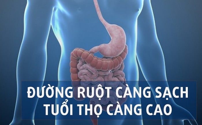 5 thói quen vào buổi tối giúp gan khỏe, ruột sạch
