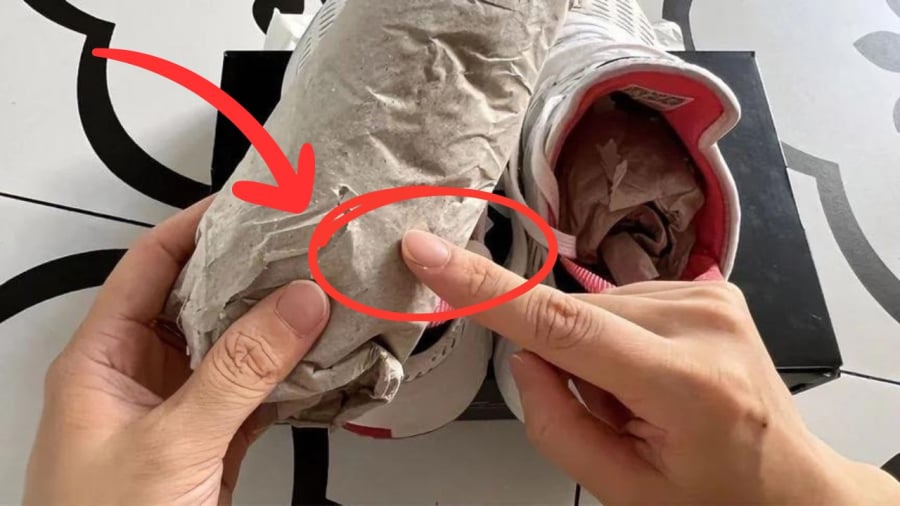 Ném bỏ thứ này vào thùng rác khác gì vứt tiền qua cửa sổ, giữ lại quý như vàng
