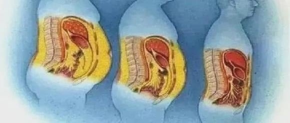 Tập thể dục nhẹ sau bữa ăn có thể giúp giảm đường huyết và hạn chế mỡ nội tạng.