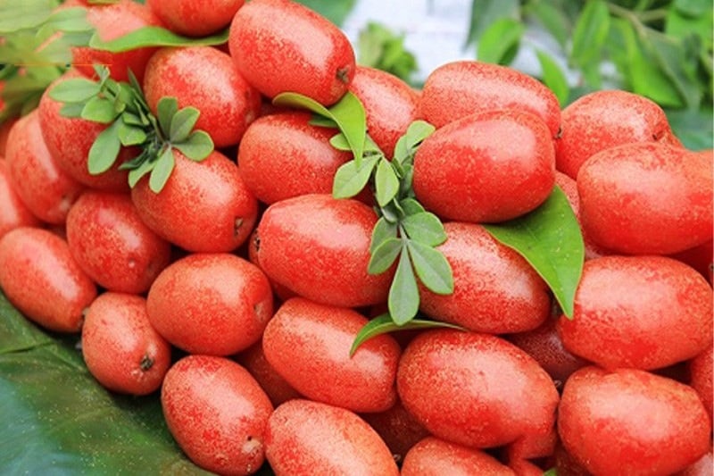 Hiện tại, nhót được phân thành hai loại chính: nhót chua dùng để ăn tươi hoặc chế biến Shbet0099 cá cược trực tuyến, và nhót ngọt thường được sấy khô hoặc làm mứt