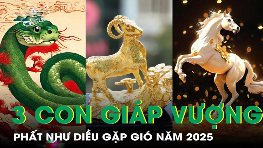 Phước Lành hưởng đủ 60 ngày tới: vô tận: 3 tuổi may mắn đầy mình, tài lộc sung mãn
