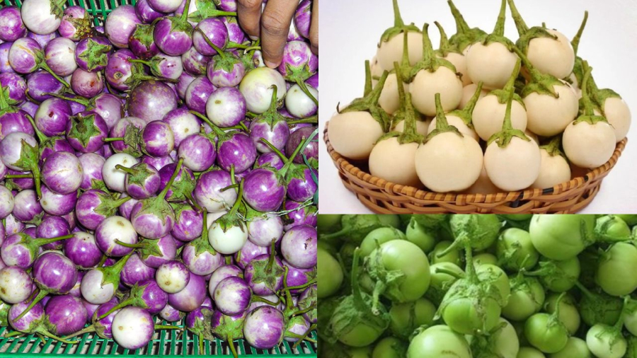 Chọn cà muối nên chọn loại quả không già không non