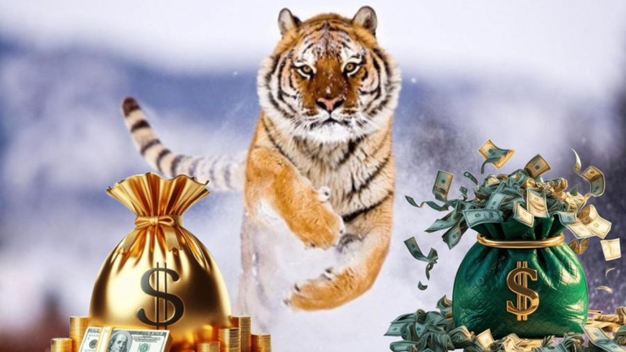 Sau ngày 10/3 tuổi Dần gặp được cơ hội tốt trong làm ăn kinh doanh