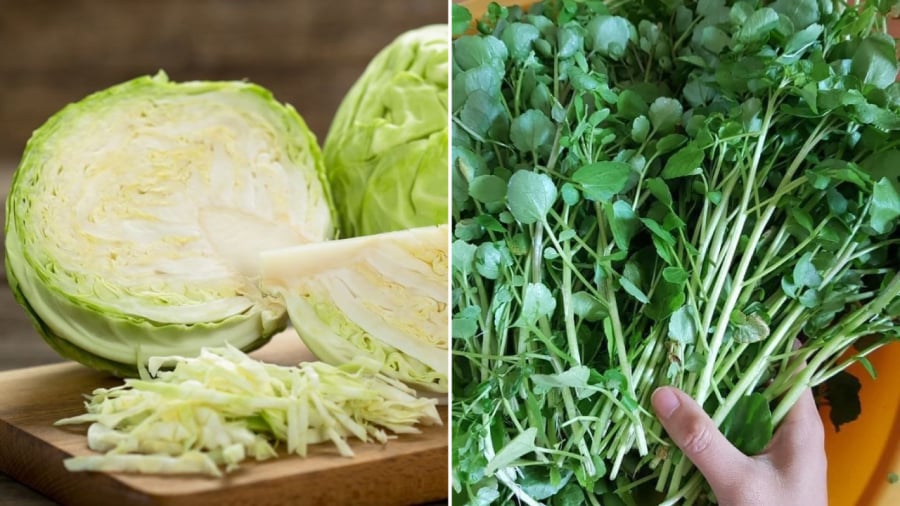 Cải bắp, cải xoong là những loại cải được bày bán rất nhiều ở các chợ. Hai loại rau họ cải này mang tới nhiều lợi ích tuyệt vời cho sức khỏe.