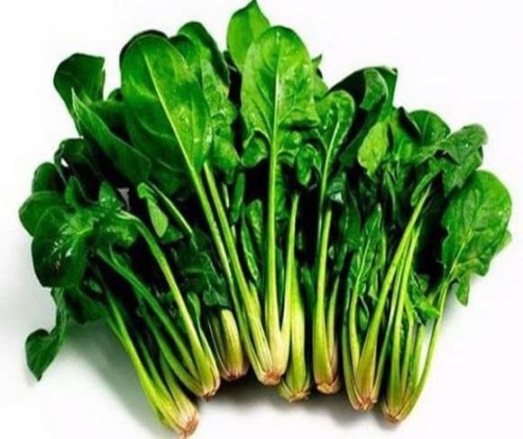 Các loại rau lá xanh, đặc biệt là cải bó xôi, đều chứa nhiều chất xơ, vitamin B và axit folic, có tác dụng kích thích chức năng gan và thận. 
