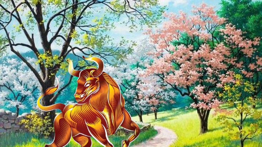 Tuổi Sửu gặp nhiều may mắn trong dịp Tiết Thanh minh