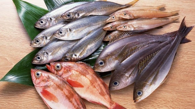 Những loại cá chứa nhiều thủy ngân nên tránh xa