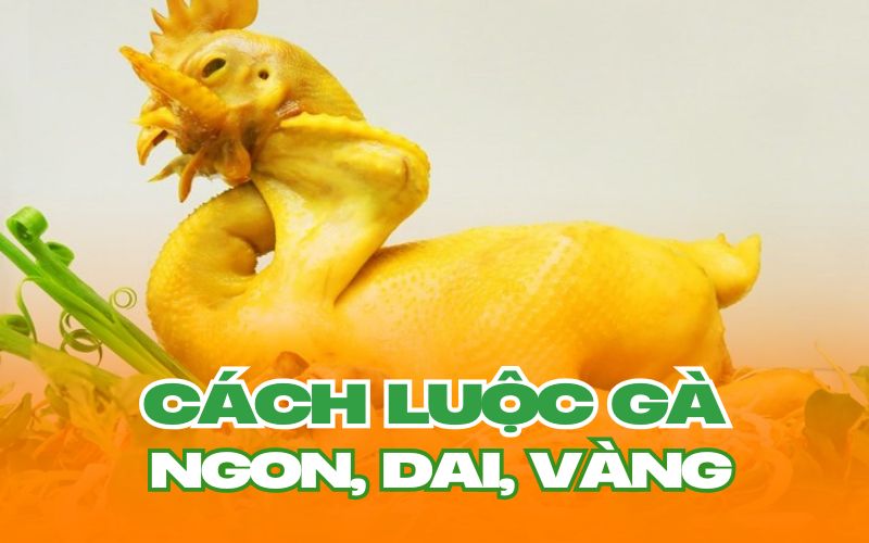 Cách Trải nghiệm SHBET - Casino trực tuyến hàng đầu với giao dịch nhanh giòn da ngon hấp dẫn