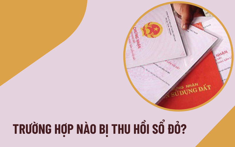 Trường hợp nào Link nhập code shbet https freecode shbet pages dev bị thu hồi dù đã cấp