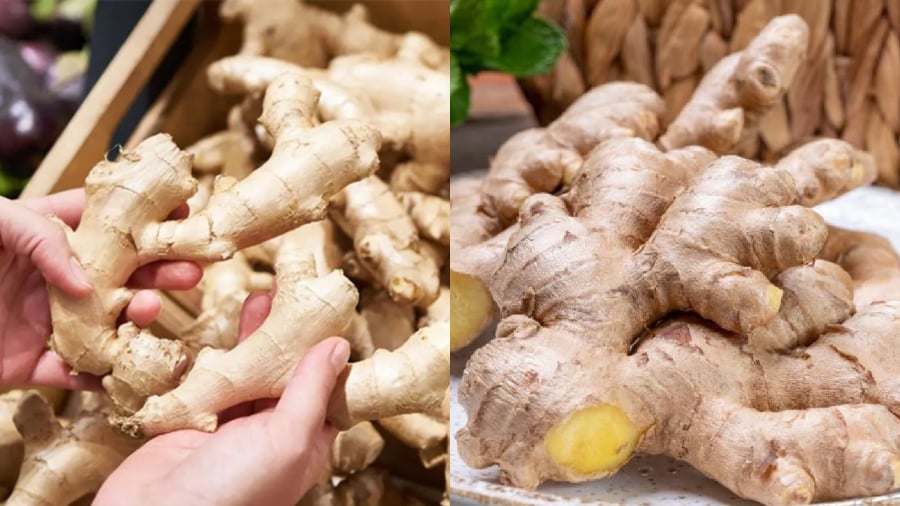 Bạn có thể bảo quản gừng bằng nhiều cách khác nhau. Ngay cả khi không để trong tủ lạnh, bạn vẫn còn nhiều lựa chọn khách để giữ cho gừng luôn tươi ngon.