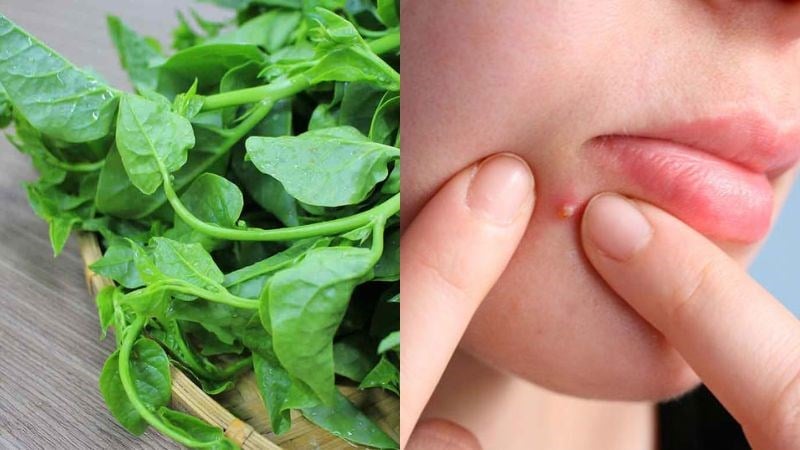 Rau mồng tơi rất tốt nhưng cần ăn với chế độ vừa phải