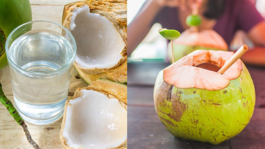 Nước dừa không bảo quản đúng rất dễ gây nấm mốc vi khuẩn độc hại