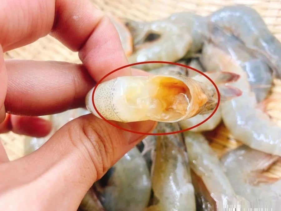 Dù chọn tôm cong hay tôm thẳng thì chúng ta cũng nên chú ý chọn tôm tươi, hãy cùng bỏ túi mẹo hay này!