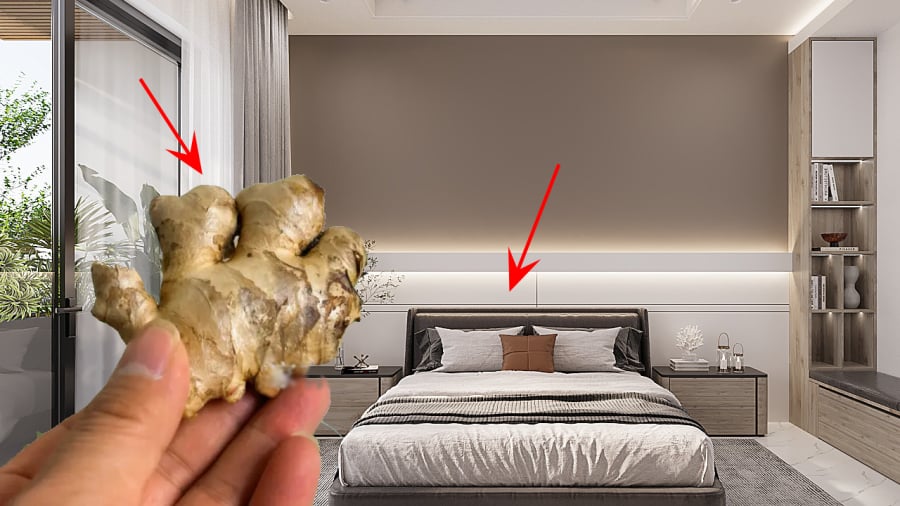 Đặt gừng cạnh gối trước khi ngủ mang lại nhiều lợi ích tuyệt vời.