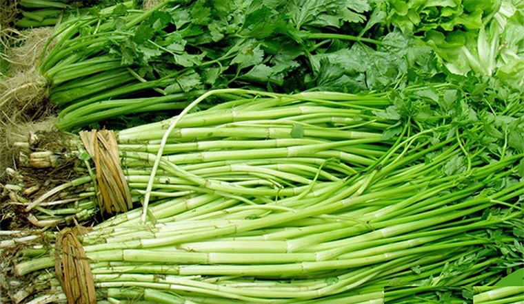 3 loại rau người Việt thích mê dễ là 