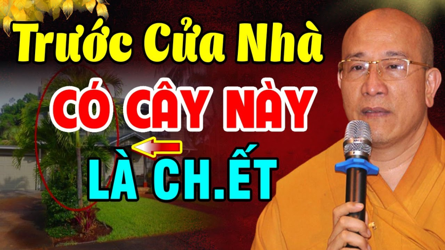 Cây ác tránh trồng trước cửa