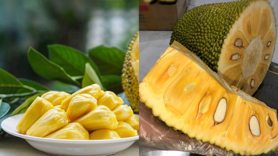 Mít chín vàng ngọt ngon nhưng lại bị kiêng kỵ