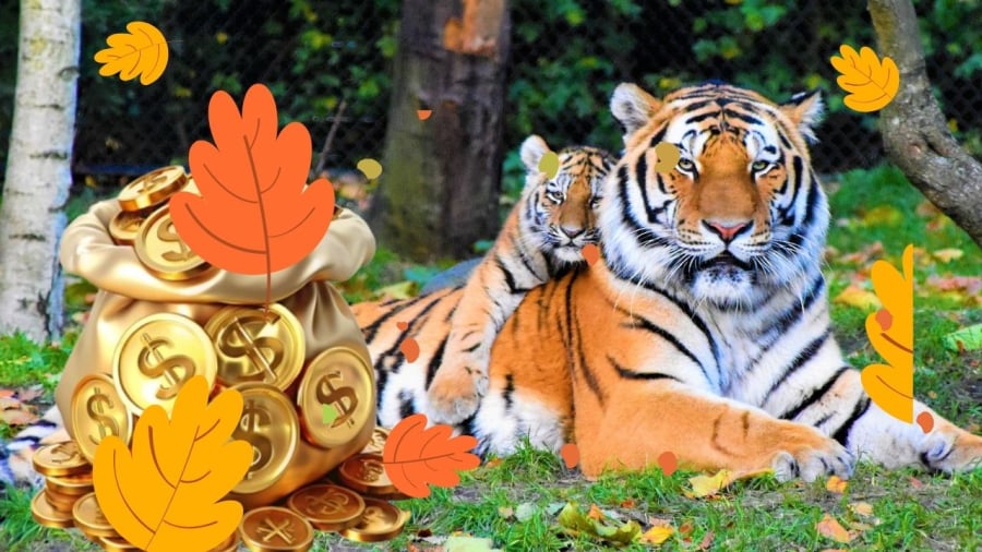 Cuối tuần mang lại nhiều cơ hội lớn cho tuổi Dần