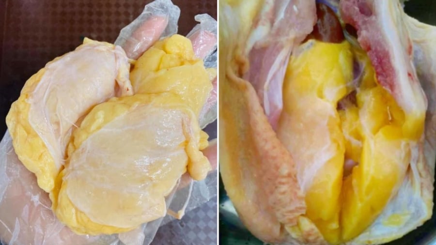 Mỡ gà được đánh giá cao về hương vị cũng như giá trị dinh dưỡng.