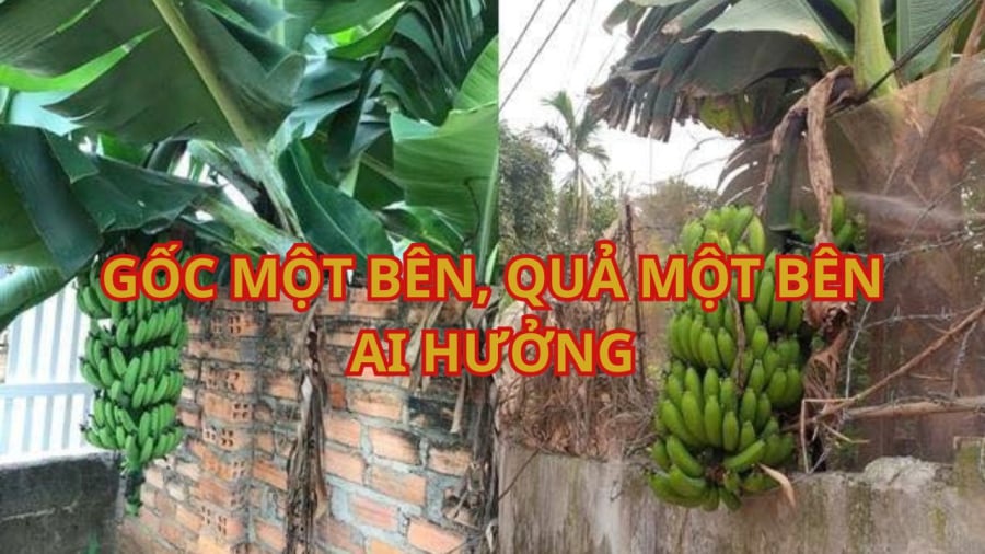 Tình huống này cũng rất hay gặp trong thực tế