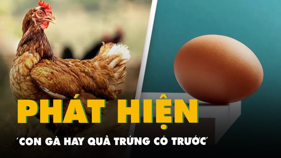 Con gà có trước hay quả trứng có trước