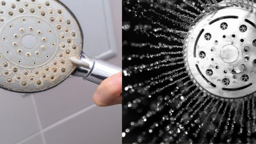 Vòi hoa sen bị cặn bẩn sẽ rất hại sức khỏe