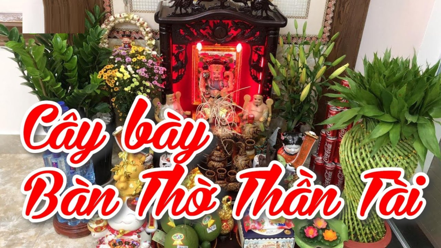 Loài cây đặt ban thờ khiến ông Thần Tài ưng ý, cây ra hoa là Tiền -Tài đang đến