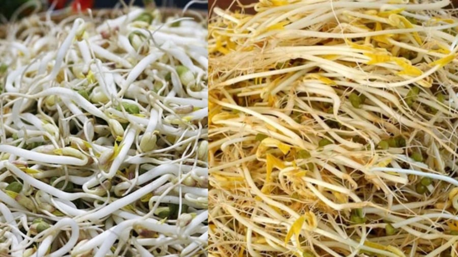 Giá đỗ ngâm nước kẹo cực kỳ nguy hiểm nên người dân cần chú ý