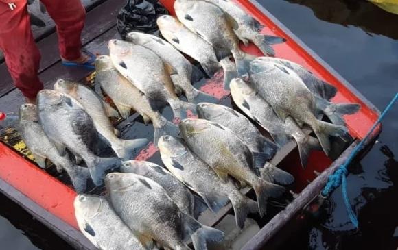 Thủy ngân là kim loại nặng có hại cho Sh88bet đăng ký miễn phí, tồn tại trong môi trường tự nhiên như đất, nước và không khí.