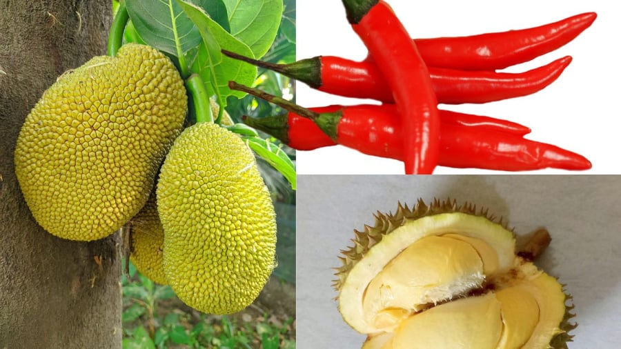 Những trái cây nhiều gai nhọn, cay nóng, nặng mùi không dâng cúng