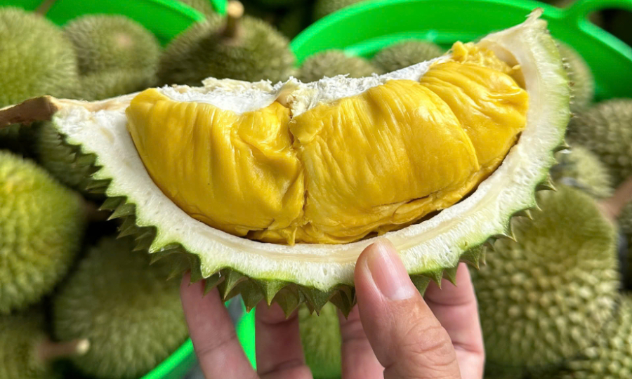 Những người không nên ăn sầu riêng